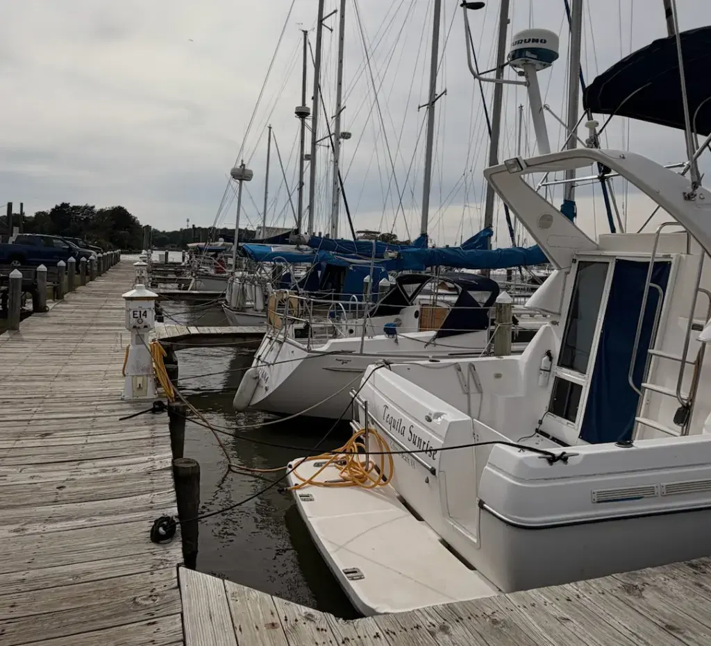 Slip rentals